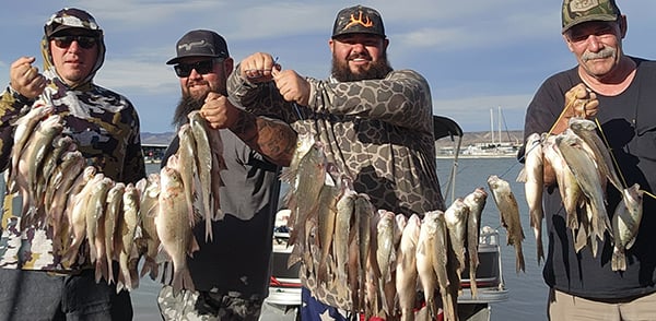 Southwest - Elephant Butte Lake - Andrew Luna, Bryant Michael Tafoya, Rodney Morton and Nathan Jones